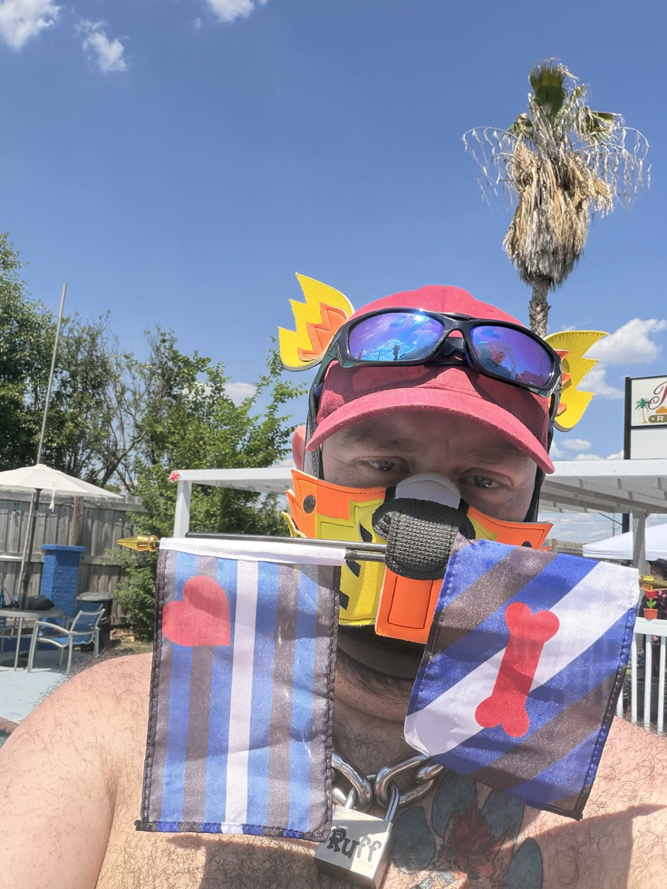 feature image